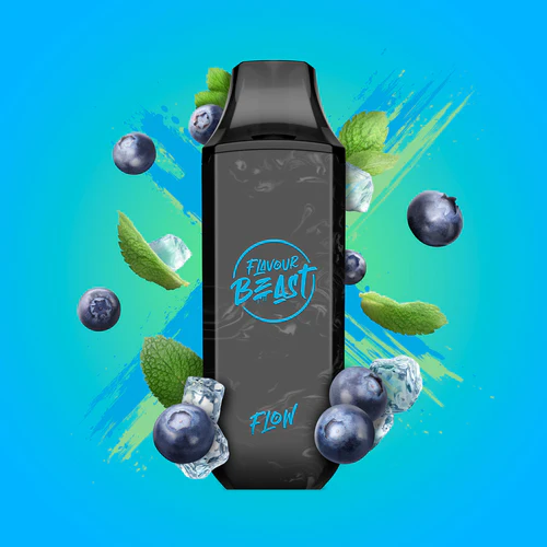Flavour Beast Flow 5000 Blessed blueberry mint 20mg/mL disposable (Provincial)